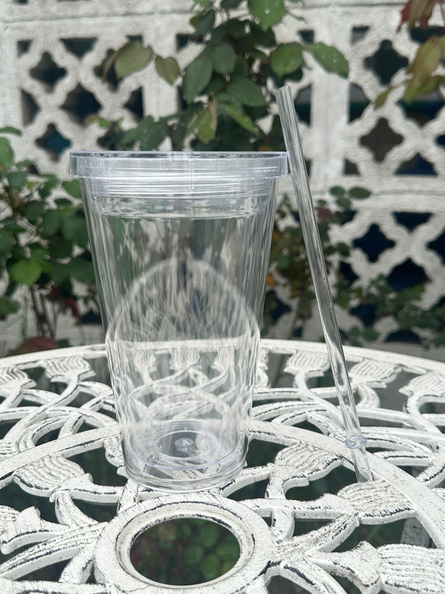 16oz Acrylic Snow Globe