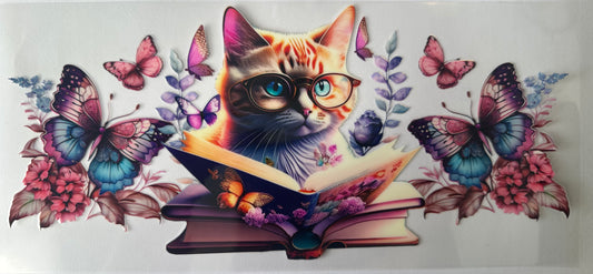 cats, butterflies