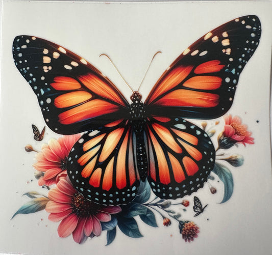 Orange Butterfly's