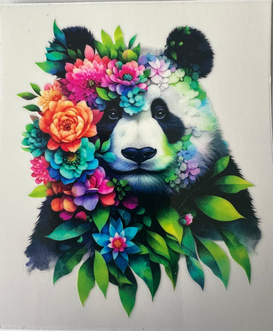 Panda Bear