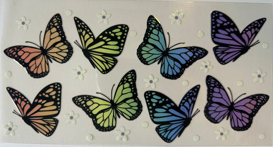 Butterfly's