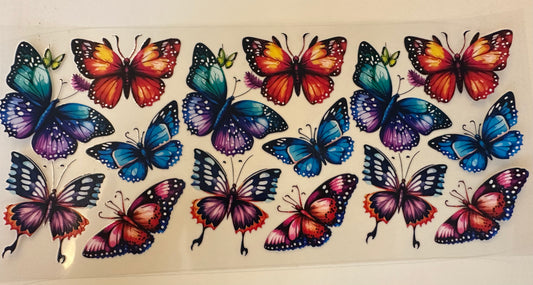 Butterfly's