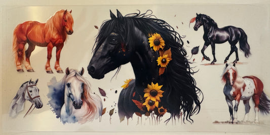 horses